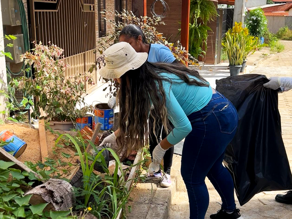 Mutirão de Combate à Dengue 2025