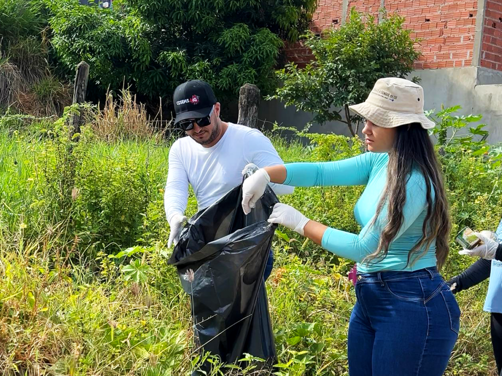 Mutirão de Combate à Dengue 2025